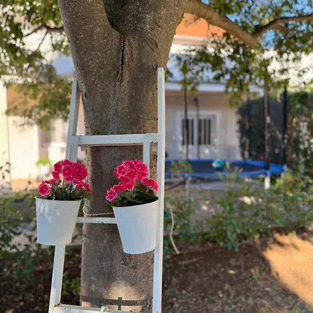 Olive Garden Retreat Apartamento *