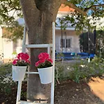 Olive Garden Retreat Apartment *